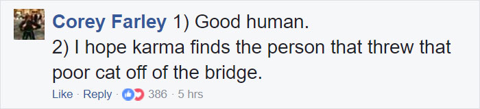 Somebody Apparently Threw This Cat Off The Bridge, But Luckily This Boat Captain Spotted Her