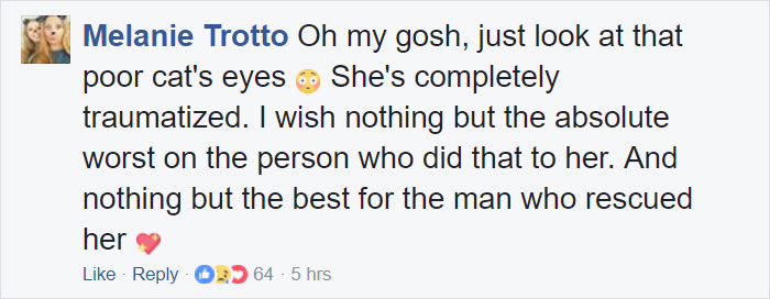 Somebody Apparently Threw This Cat Off The Bridge, But Luckily This Boat Captain Spotted Her