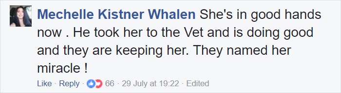 Somebody Apparently Threw This Cat Off The Bridge, But Luckily This Boat Captain Spotted Her