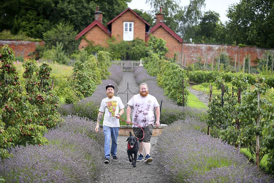 The Bride Was Busy During A Pre-Wedding Shoot, So The Groomsman Stepped In And The Result Is Hilarious The Bride Was Busy During A Pre-Wedding Shoot, So The Groomsman Stepped In And The Result Is Hilarious