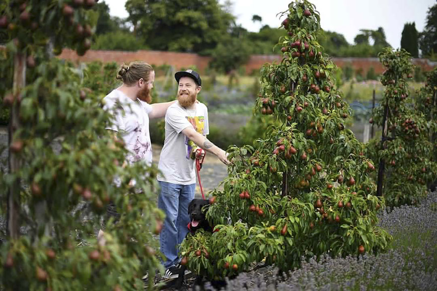 The Bride Was Busy During A Pre-Wedding Shoot, So The Groomsman Stepped In And The Result Is Hilarious The Bride Was Busy During A Pre-Wedding Shoot, So The Groomsman Stepped In And The Result Is Hilarious