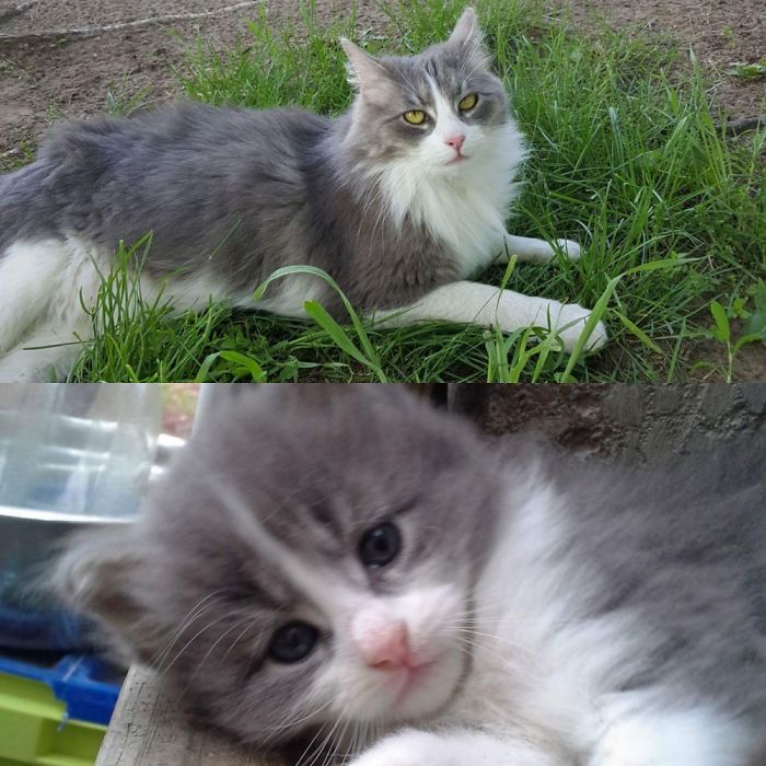 The Beauty Of What 3yrs Can Do