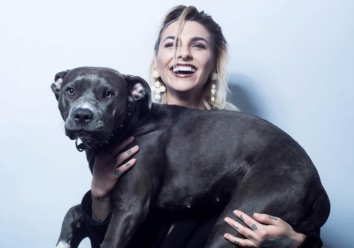 My One Year Old Pitbull