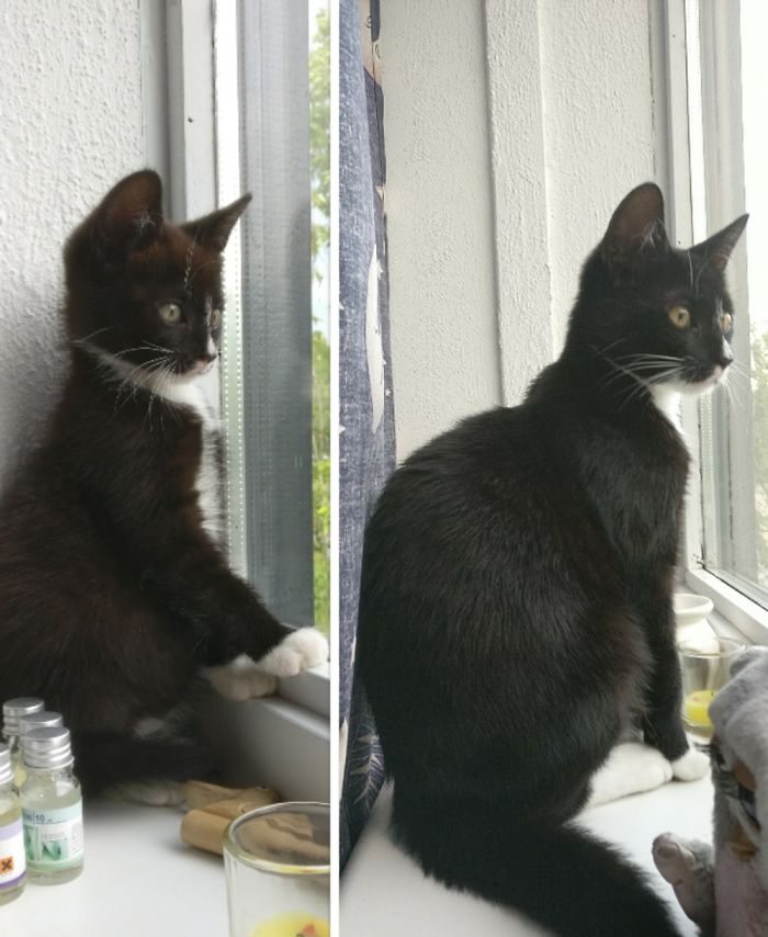 Left 4 Weeks Old, Right 4 Months Old