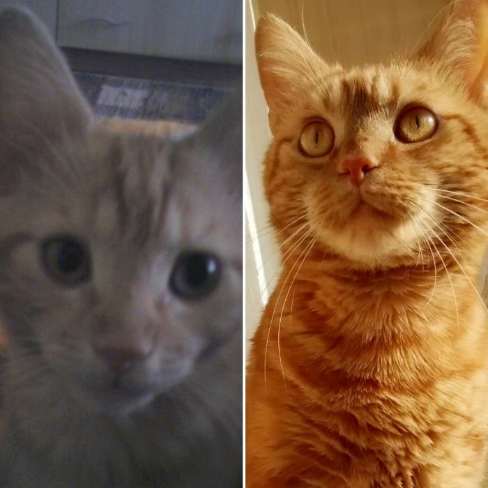 My Dumpling At The Age Of 6 Month And 5 Years!