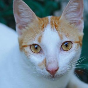 ma_fatimabagasina avatar