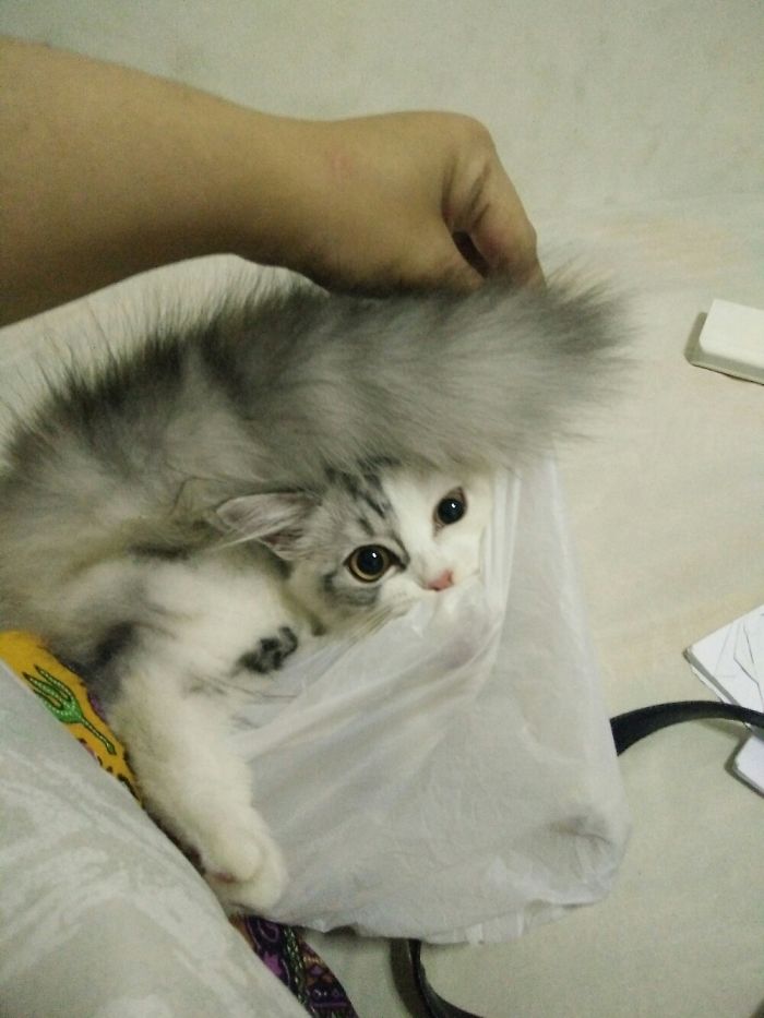 I Fit, You Can Take Me