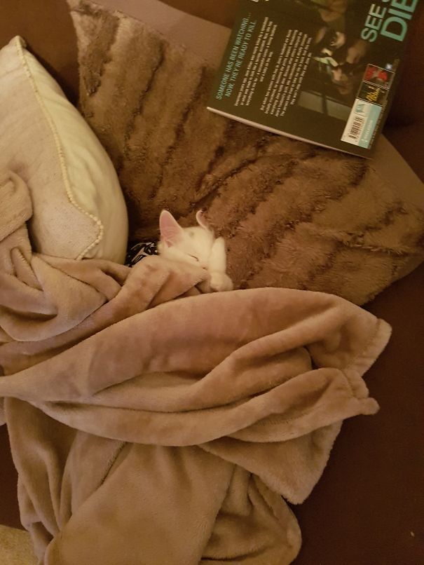 Woke Up To This, This Morning! Heart Is Melted