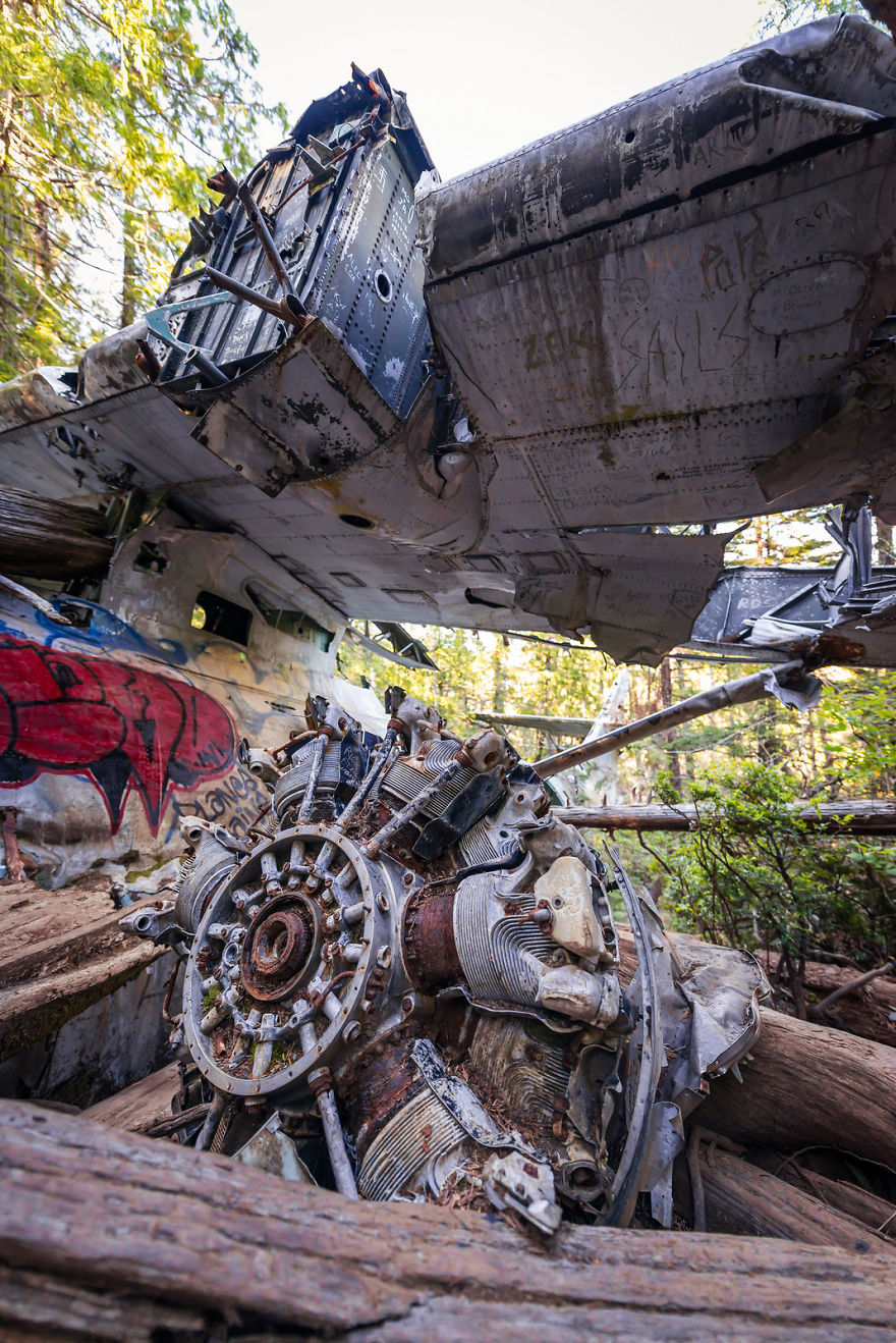 World War 2 Bomber Crash Site On Vancouver Island, Canada