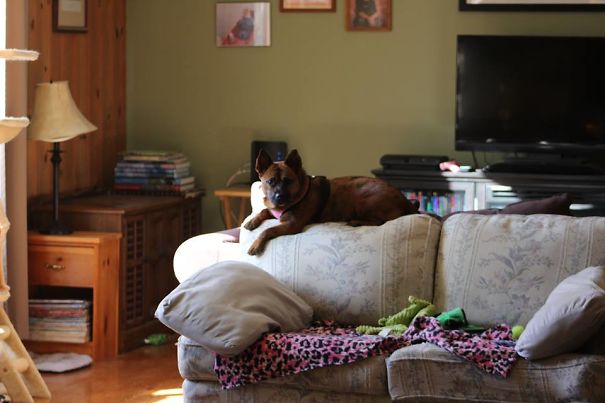 She Thinks She’s Cat #8…