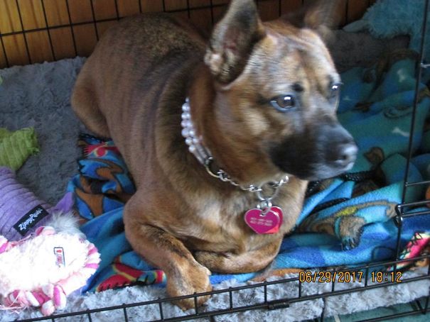 She Thinks She's Cat #8...