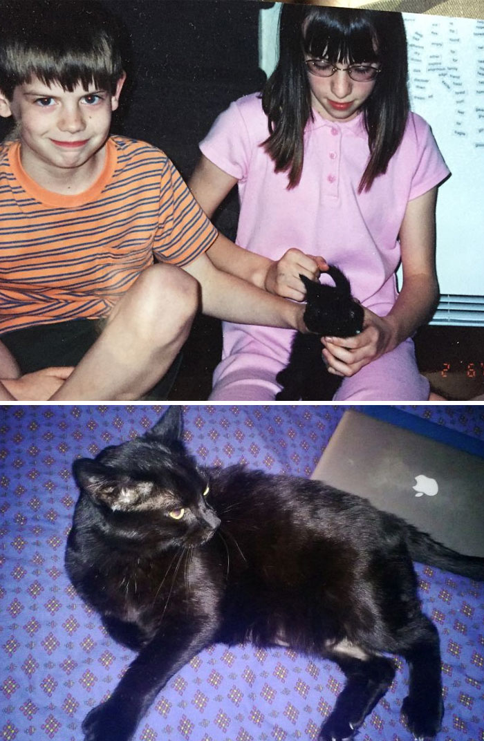Midnight Five Weeks Old In 2002 And Thirteen Years Old 2015 (Passed Away In July Same Year)
