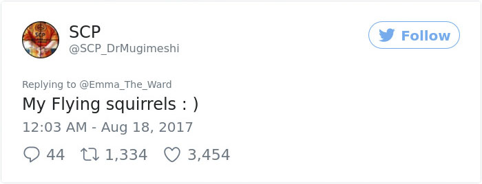 Someone Just Noticed That Chameleons Will Hold Onto Anything You Give Them, And It's Hilarious