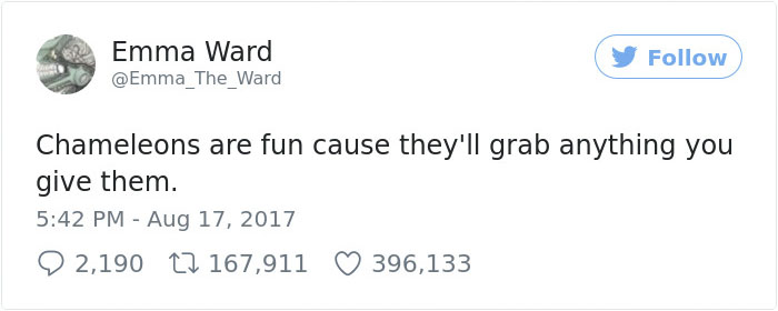 Someone Just Noticed That Chameleons Will Hold Onto Anything You Give Them, And It's Hilarious