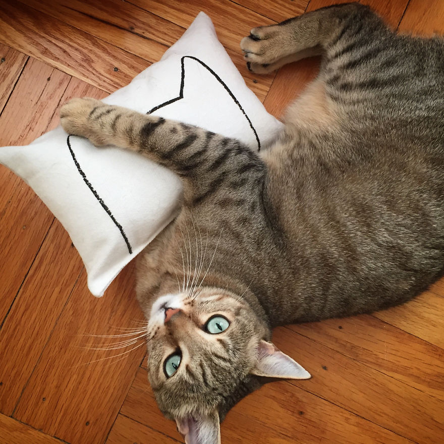 I Make Mini Versions Of My Catnap Pillows For Ikea Duktig Doll Beds To Further Enhance Your Cat Hack I Make Mini Versions Of My Catnap Pillows For Ikea Duktig Doll Beds To Further Enhance Your Cat Hack