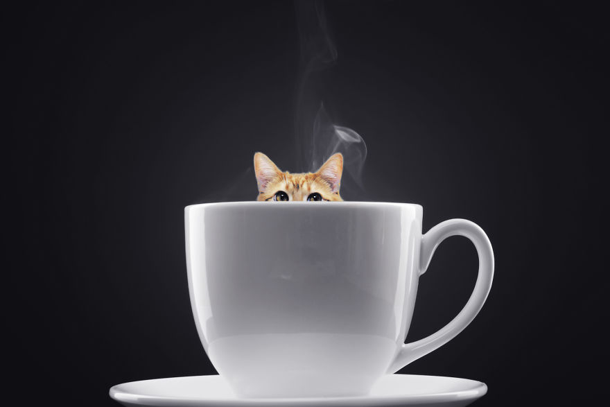 I Create Worlds In My Cup