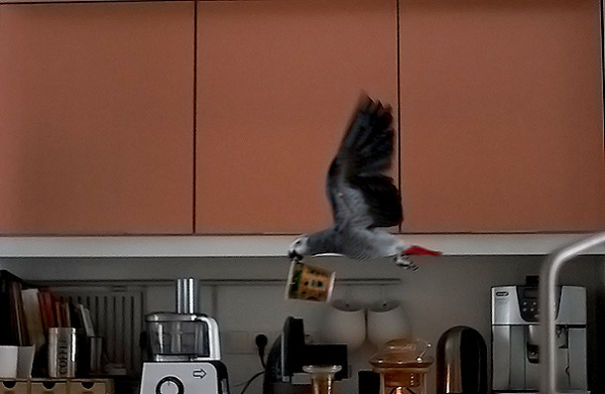 Woke Up This Morning To The Smell Of Flappy Coffee