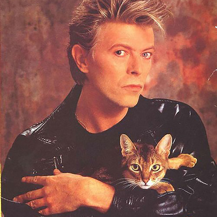 15 Famous People And Their Cats