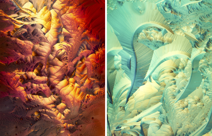 I’ve Spent The Past Year Photographing Crystalized Substances Through My Microscope