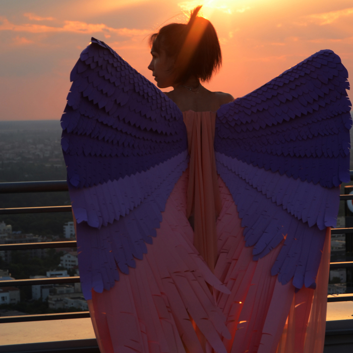 Paper Wings That I Made