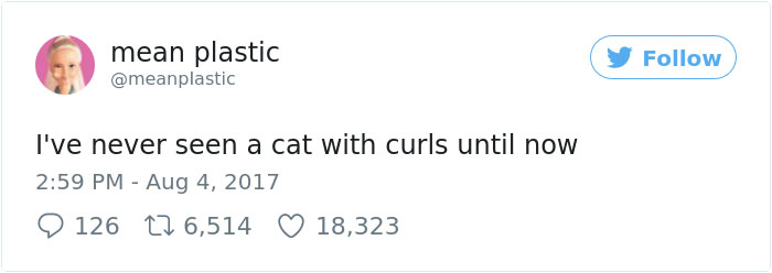 These Curly Cats Who All Descended From One Shelter Kitty Are Taking Internet By Storm