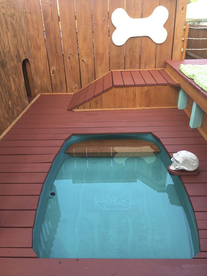 Dog Owner Transforms His Backyard Into A Large Playground With Private Pool For His 4 Dogs