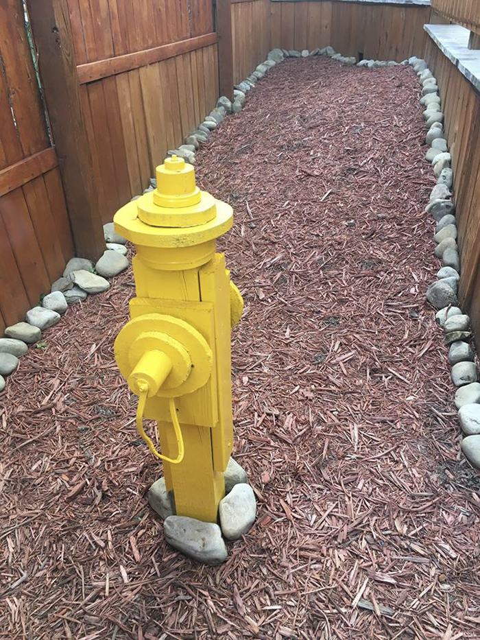 Dog Owner Transforms His Backyard Into A Large Playground With Private Pool For His 4 Dogs Dog Owner Transforms His Backyard Into A Large Playground With Private Pool For His 4 Dogs