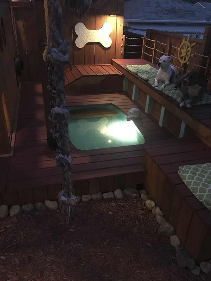 Dog Owner Transforms His Backyard Into A Large Playground With Private Pool For His 4 Dogs