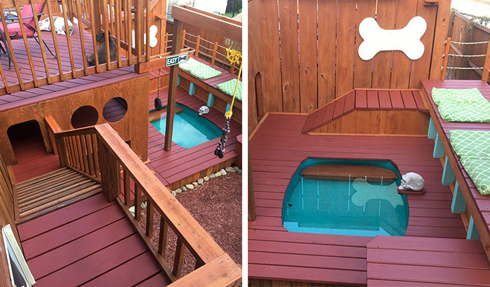 Dog Owner Transforms His Backyard Into A Large Playground With Private Pool For His 4 Dogs