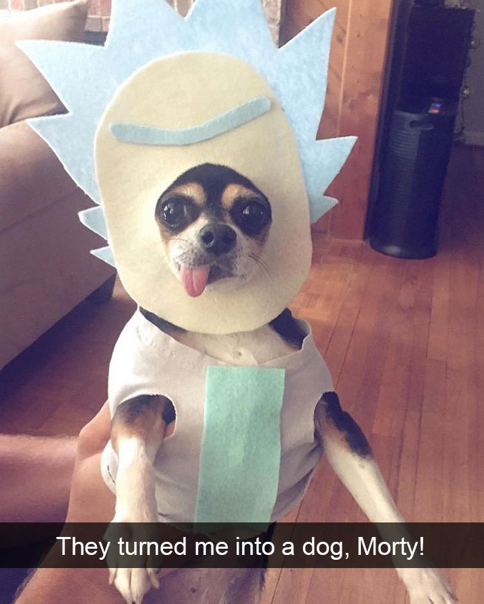 Dog-snapchats