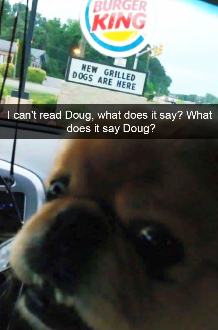 Dog-snapchats