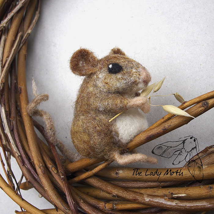 Wildlife - My Inspiration