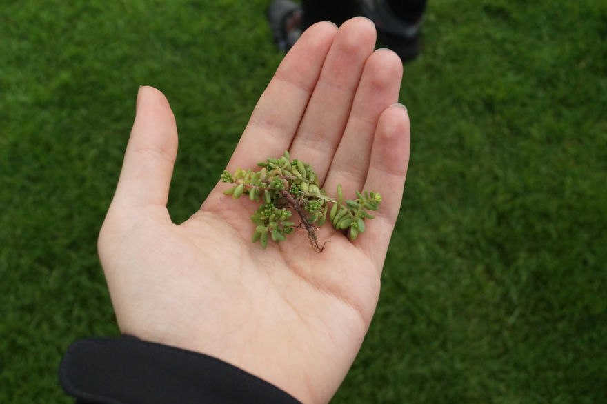 We Visited Scotland's Most Mystical Castle We Visited Scotland's Most Mystical Castle