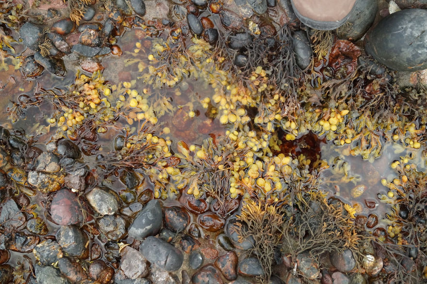 We Visited Scotland's Most Mystical Castle