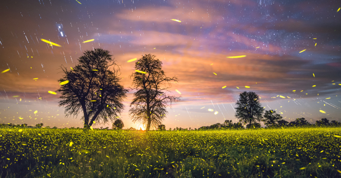 Photo Nightscape Awards