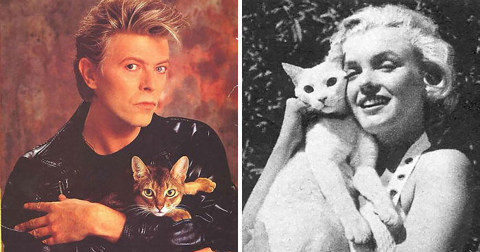 Famous people posing with their cats including a man in a leather jacket and a woman holding a white cat.