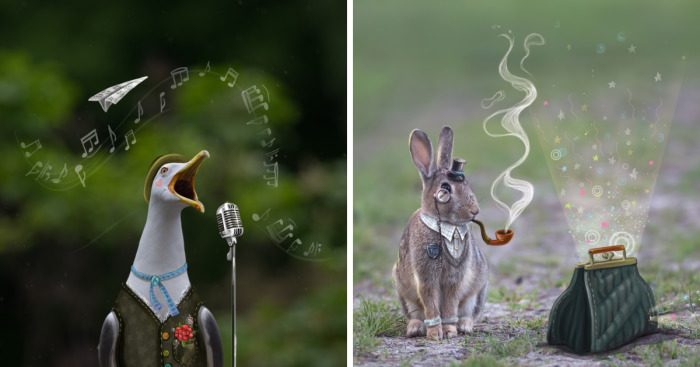 We Combine Illustration And Photography To Reveal The Secret Stories Of Wild Animals