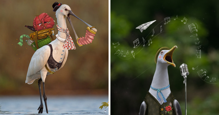 We Combine Illustration And Photography To Reveal The Secret Stories Of Wild Animals