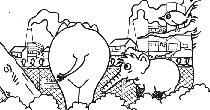 We Created A Comic Strip To Discuss Various Environmental And Social Problems From The Perspective Of Animals