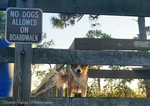 She Ran Up Ahead, This Is What I Saw When I Caught Up