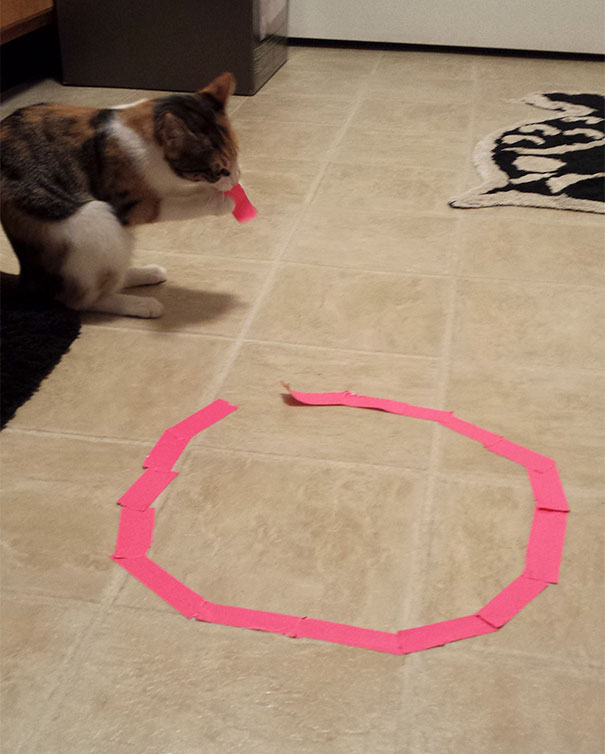 F*ck Your Circle And Its Magic