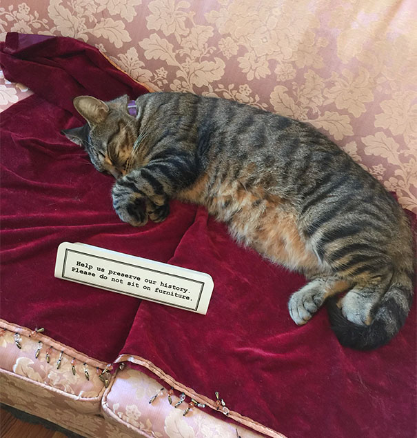 Clearly Breaking The Rules