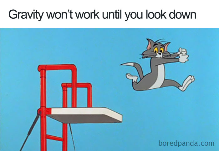 Cartoon logic: A cat defies gravity on a diving board with a humorous expression, illustrating unrealistic physics.