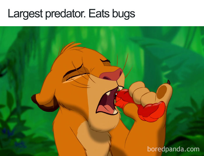 Cartoon logic: Lion character eating bugs humorously.