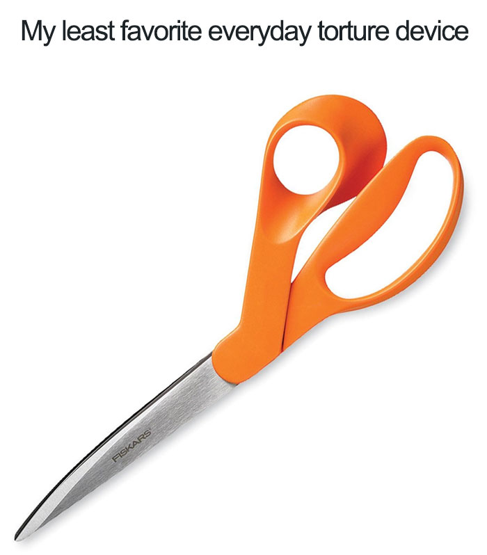 My Least Favorite Everyday Torture Device