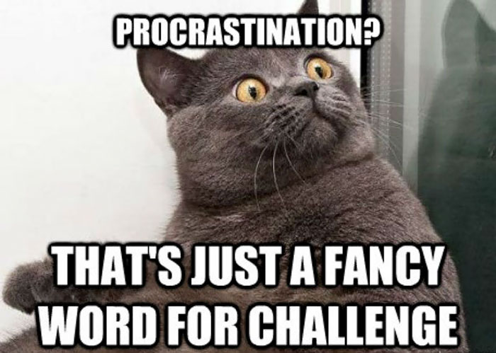 Funny-procrastination-memes