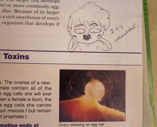 Funny Textbook Drawing