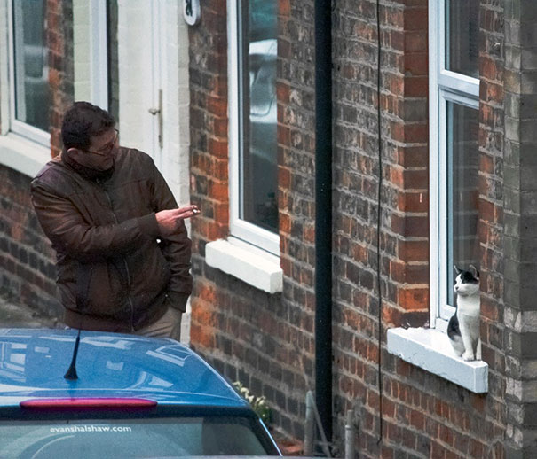 Bit Untraditional, But I Saw One Of My Neighbours Talking To This Cat On A Windowsill While Having A Smoke Earlier