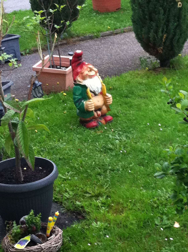 My Neighbour Is Freaking Me Out