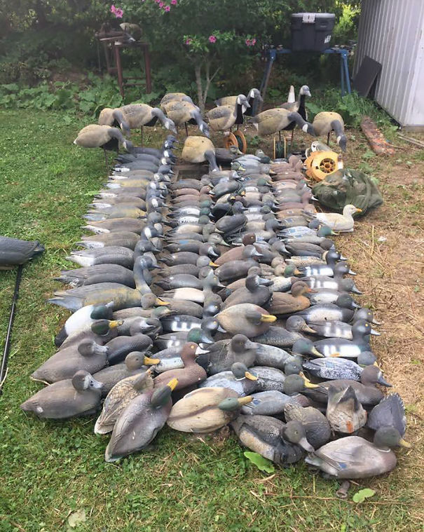 Neighbour Found Dozens Of Duck Decoys When Cleaning Out His Shed